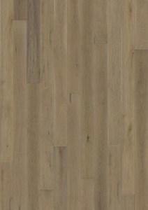 Oak Hue